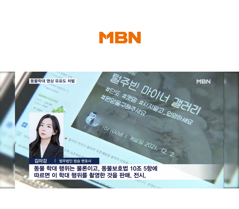 김미강변호사 MBN 뉴스7 인터뷰 출연ㅣ동물학대 영상에 대한 동물보호법 위반 사안 이미지