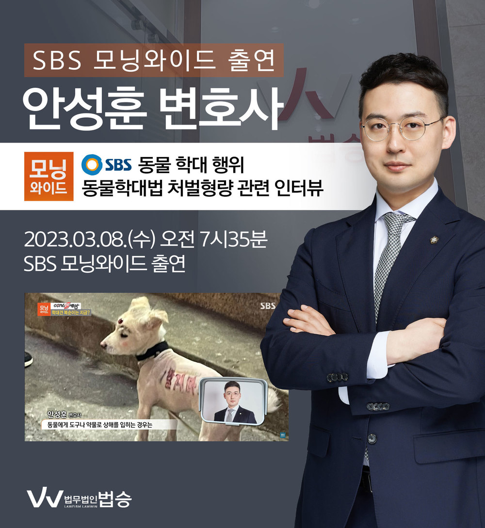 [법승소식] 안성훈변호사, SBS 모닝와이드 동물학대법 처벌형량 관련 인터뷰 이미지